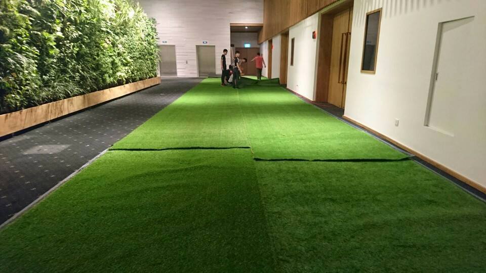 Cho thuê cỏ nhân tạo tại hồ chí minh