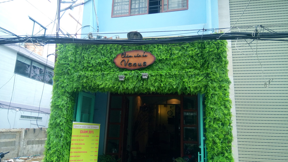 Cỏ nhân tạo trang trí spa