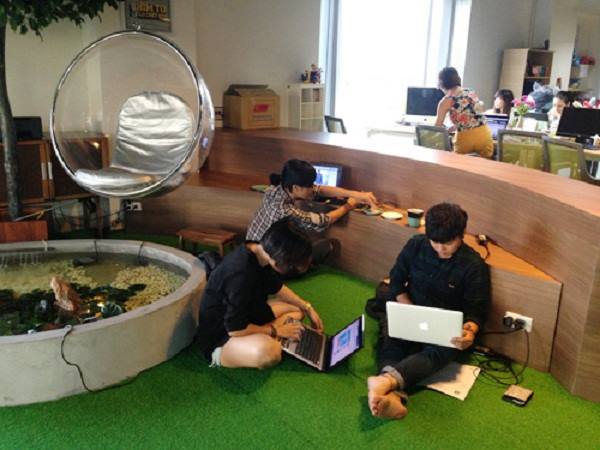 Cỏ nhân tạo trang trí văn phòng