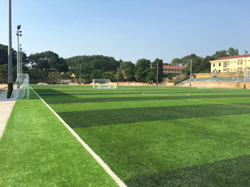 Diện tích chuẩn cỏ sân cỏ nhân tạo