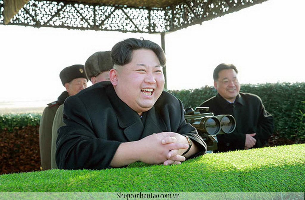 Cỏ nhân tạo lót mái nhà hàng Hương Quê TP Tây Ninh