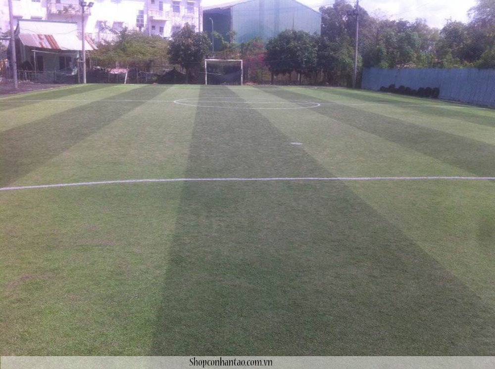 Thanh-ly-co-nhan-tao-da-qua-su-dung