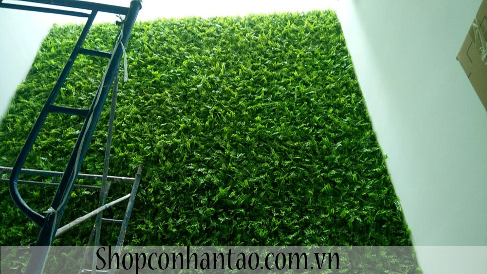 Vách tường lá liễu biệt thự chị Hương-Tân Phú