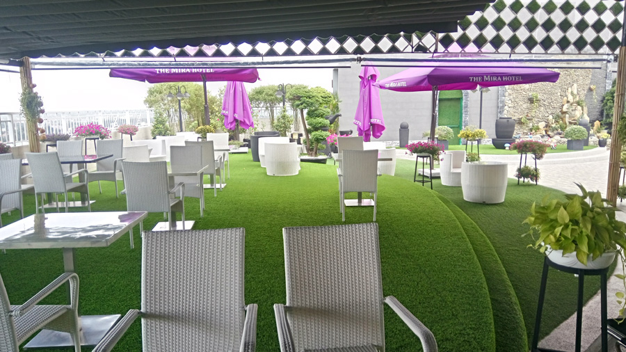 Cỏ nhân tạo trang trí quán cafe