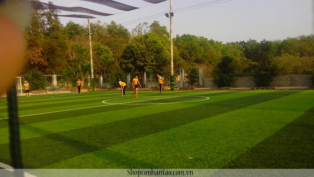 Địa chỉ bán cỏ nhân tạo tại bình dương, cỏ nhân tạo bình dương