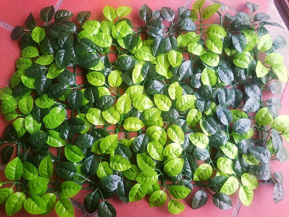 Mẫu vĩ lá hồng